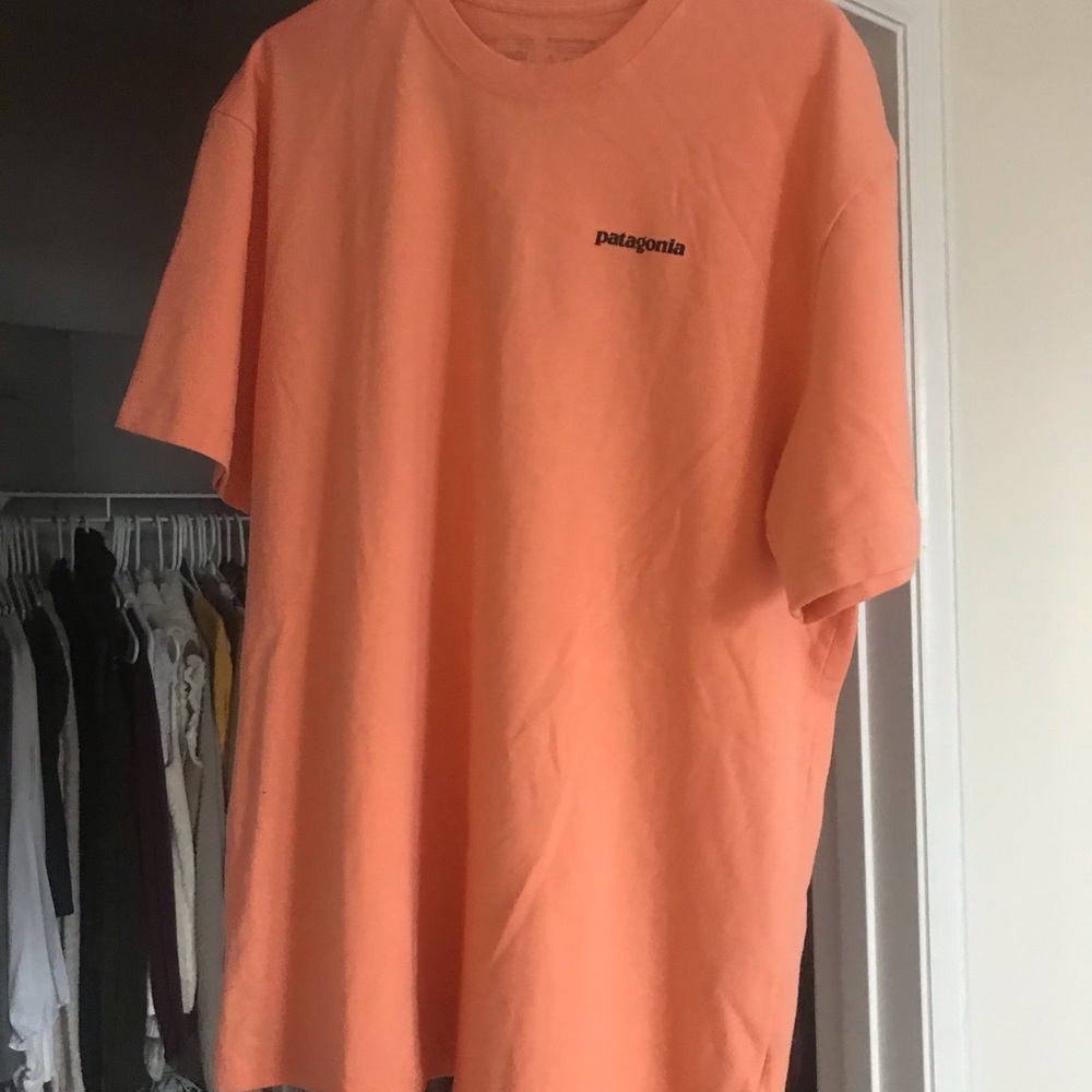 Men’s Size Large Patagonia T-Shirt